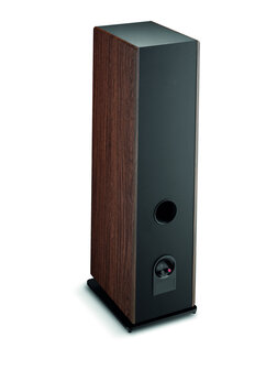 Focal Vestia N4 donker hout