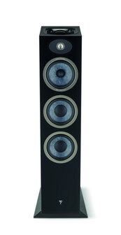 Focal Theva N3-D zwart