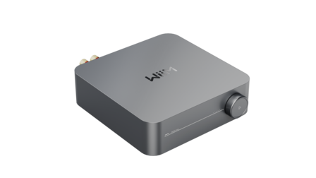 WiiM Amp grijs