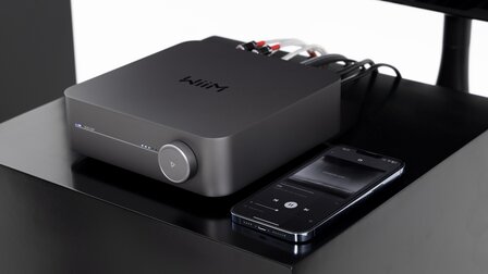 WiiM Amp grijs