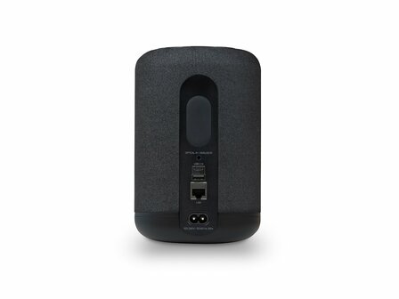 Bluesound Pulse Flex zwart