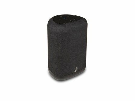 Bluesound Pulse Flex zwart