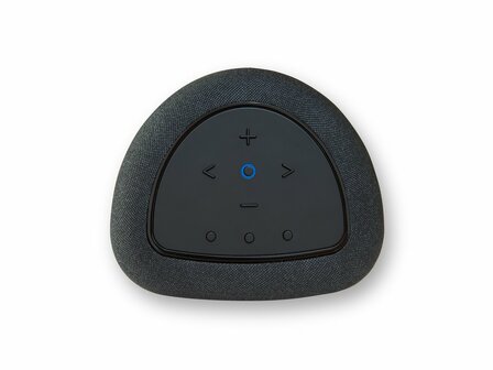 Bluesound Pulse Flex zwart