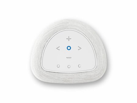 Bluesound Pulse Flex wit
