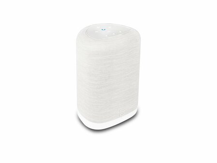 Bluesound Pulse Flex wit