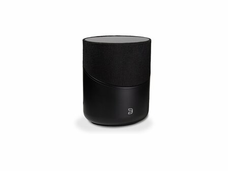 Bluesound Pulse M zwart