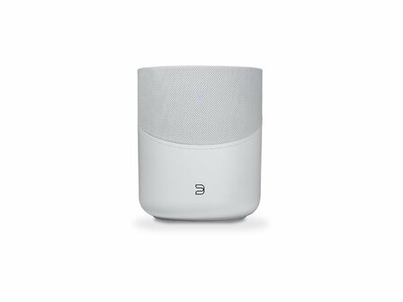 Bluesound Pulse M wit