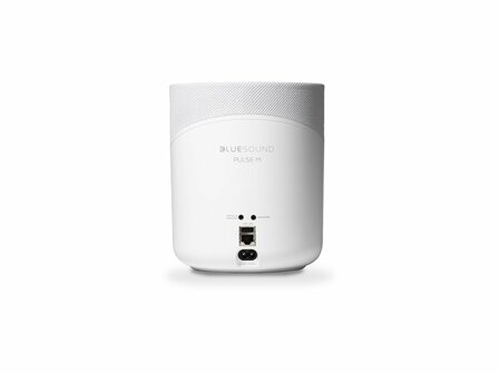 Bluesound Pulse M wit