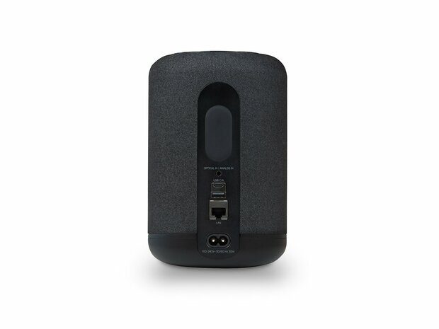 Bluesound Pulse Flex zwart