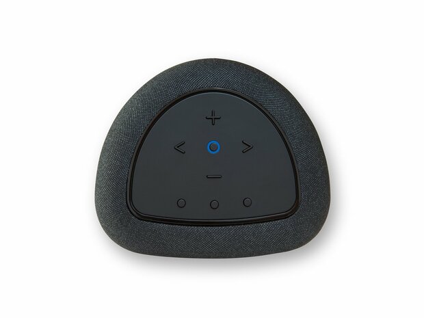 Bluesound Pulse Flex zwart