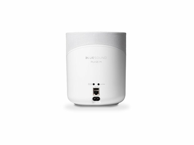 Bluesound Pulse M wit