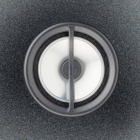 Focal Custom 100 ICW 6